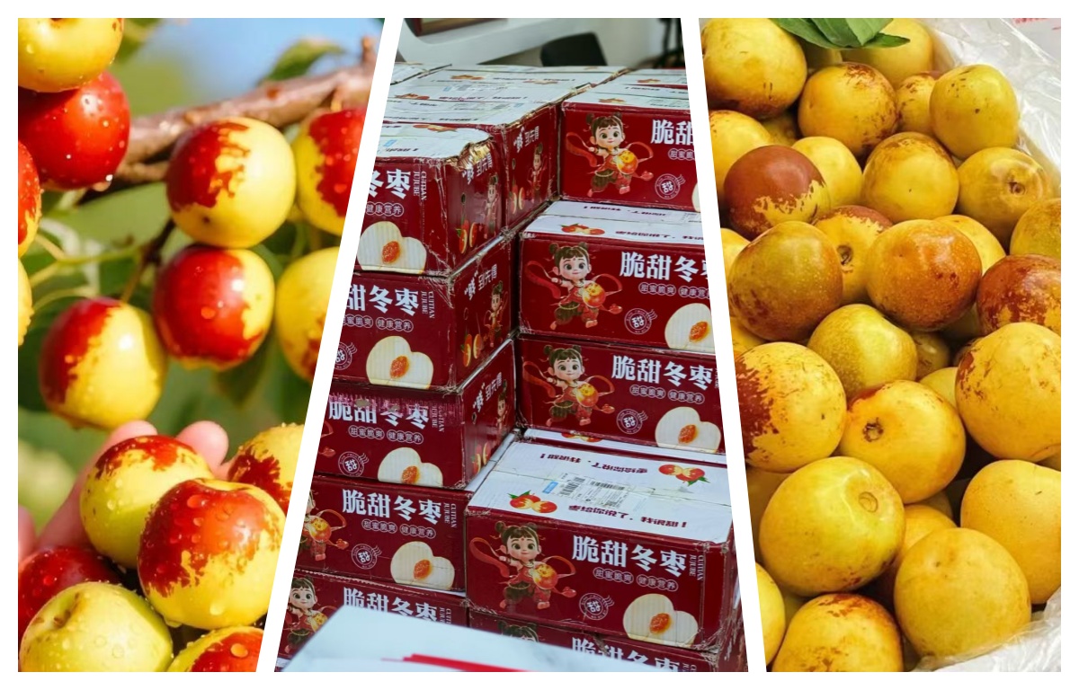 2025120308083999 黄师中高考学校 未命名