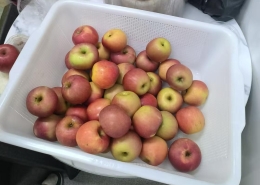 522fed96b93d9676c0356f71f0b8462