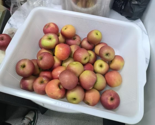 522fed96b93d9676c0356f71f0b8462